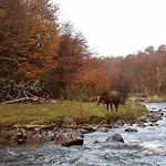 Bosque Holistico Del Fin Del Mundo