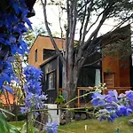 Del Andino Ush Loft