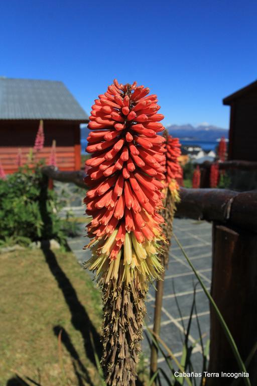 Terra Incognita Lodge Ushuaia