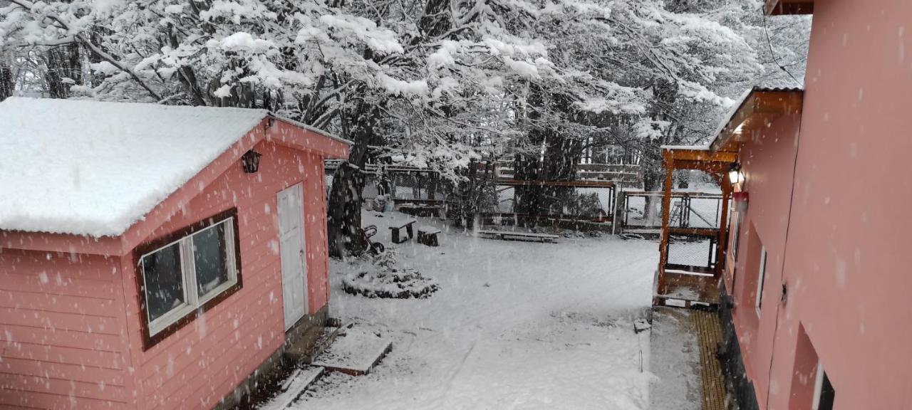 Buenavida * Ushuaia