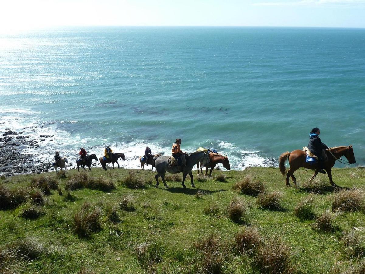 Casa Bahía Torito Сasa de vacaciones *