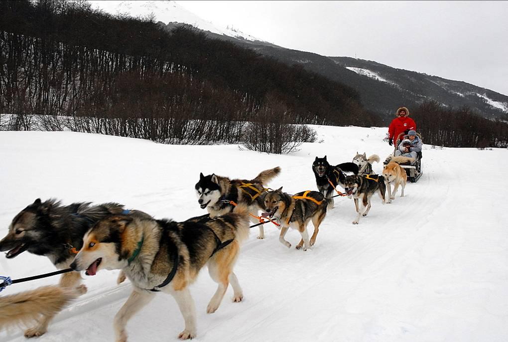 Cauquenes + + Experiences Hotel Ushuaia