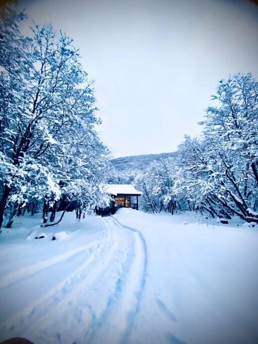 En El Bosque De Llanos Del Castor Holiday home