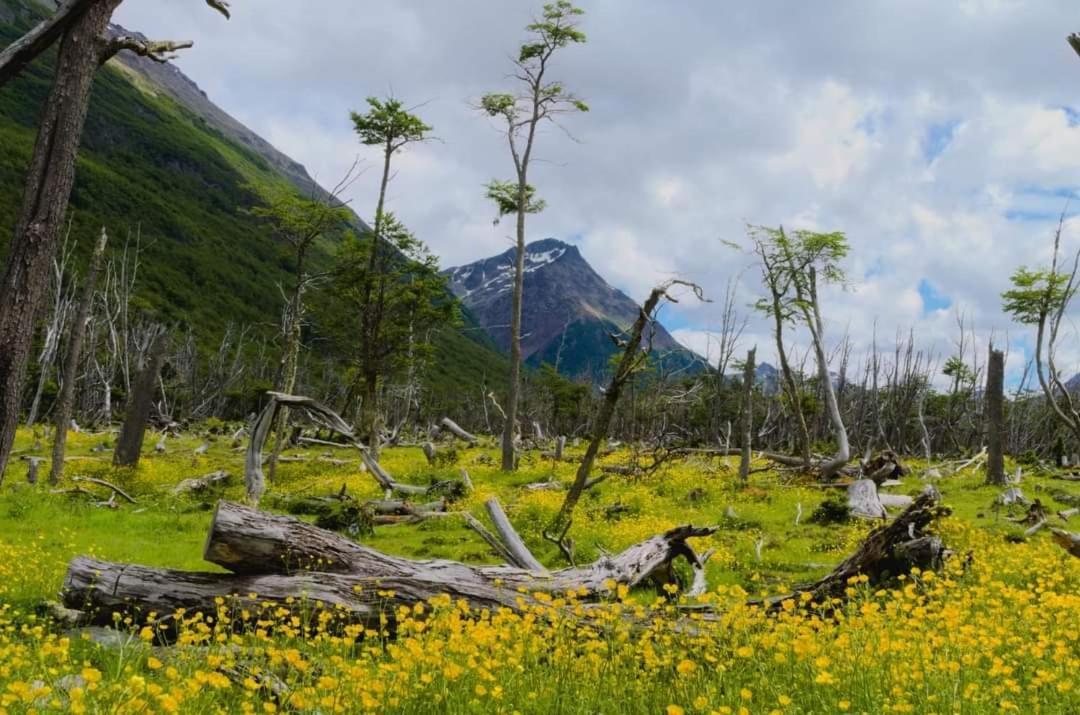 Santa Montana Ushuaia