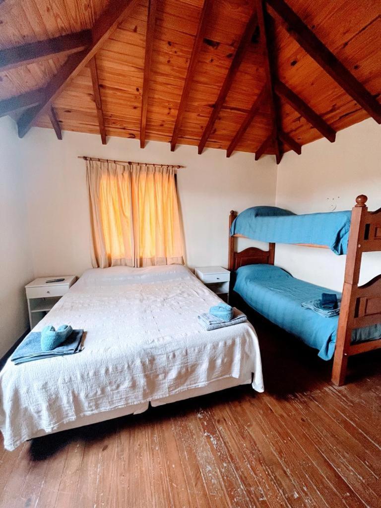 Calida Apartamento *