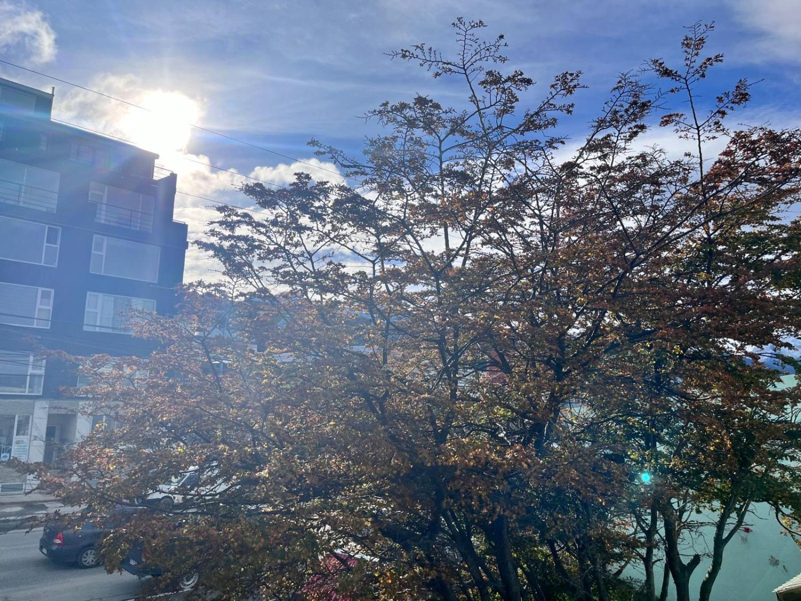 Victoria Plaza