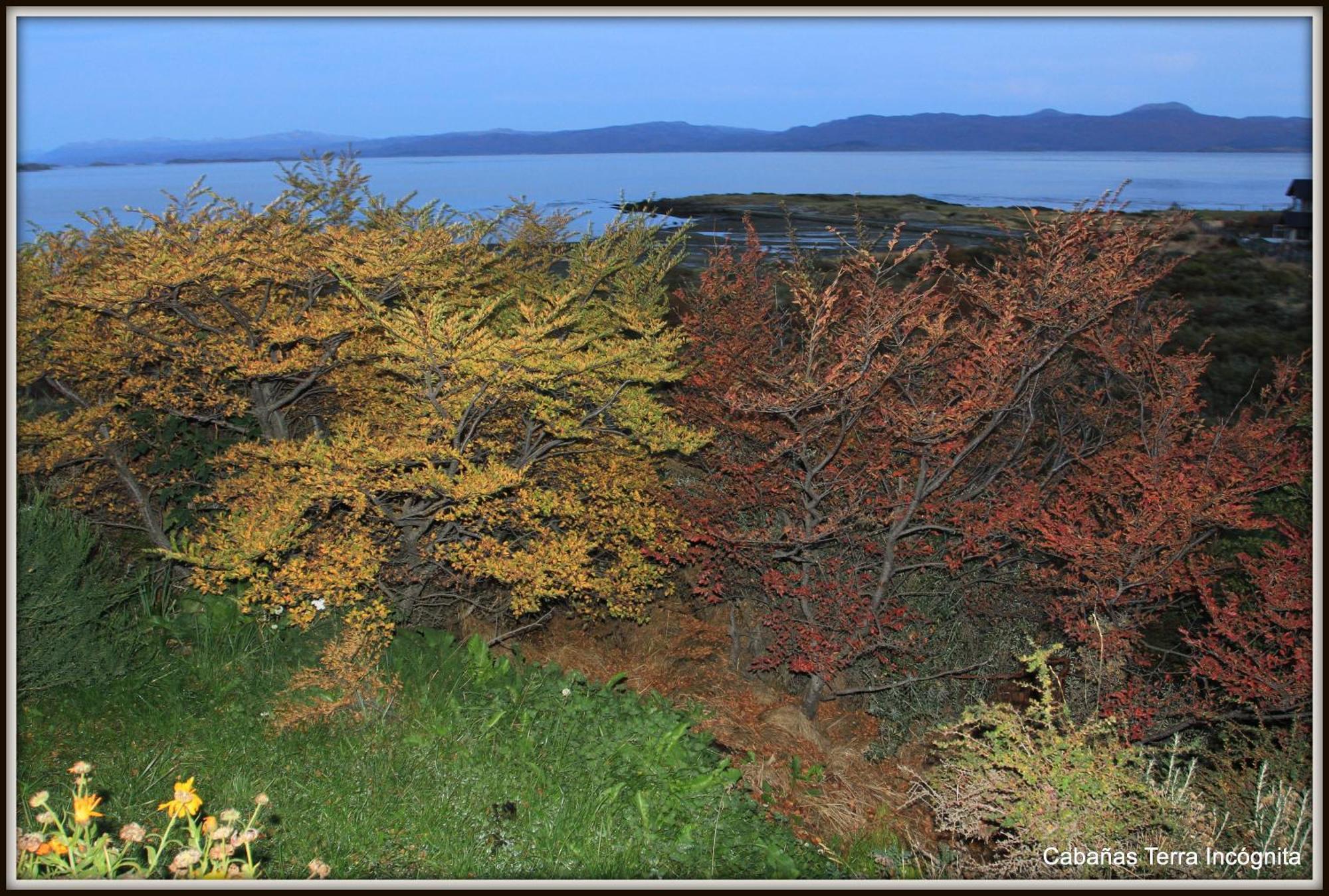 Terra Incognita Ushuaia