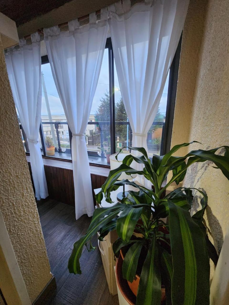 Apartment Shelknam