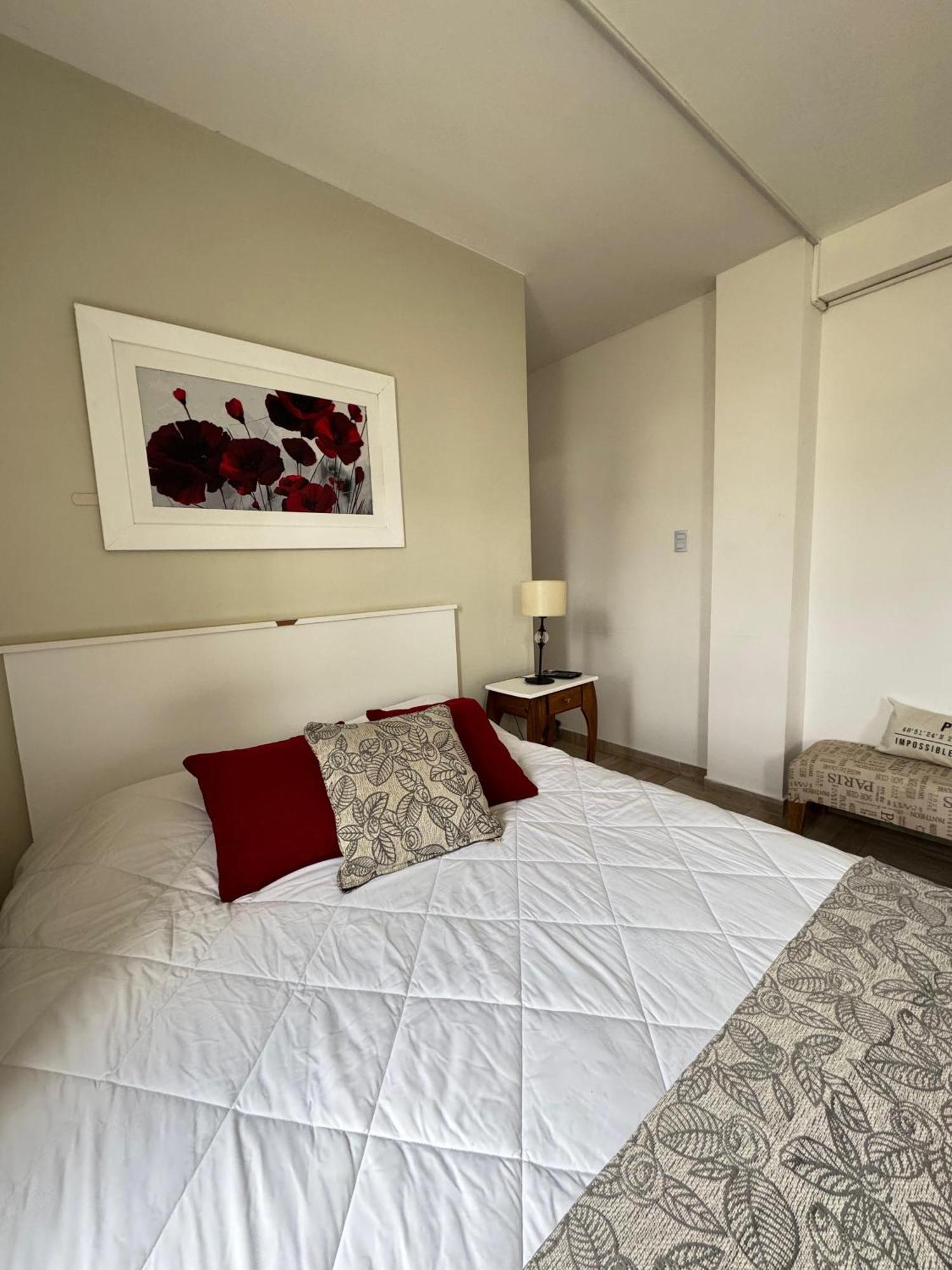 Apartamento Monoambiente Centrico Ush *