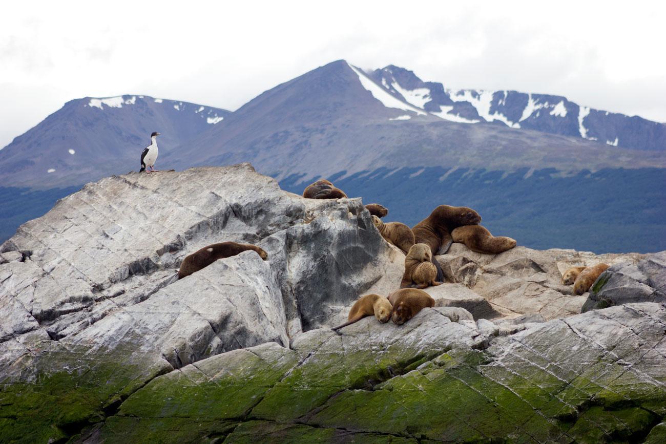 Arakur & Ushuaia