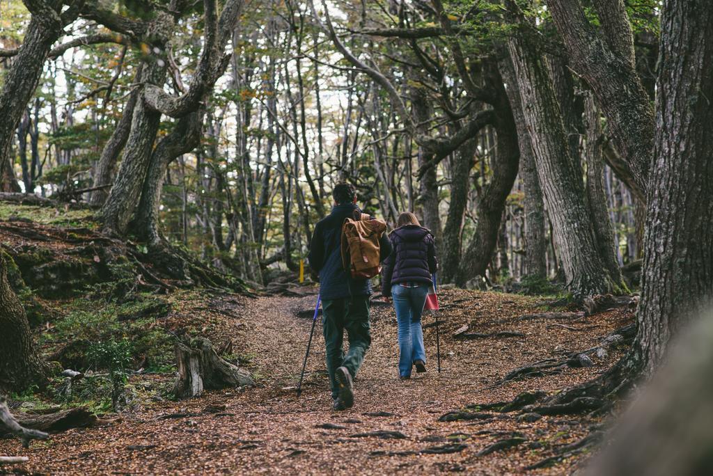 Cauquenes + + Experiences