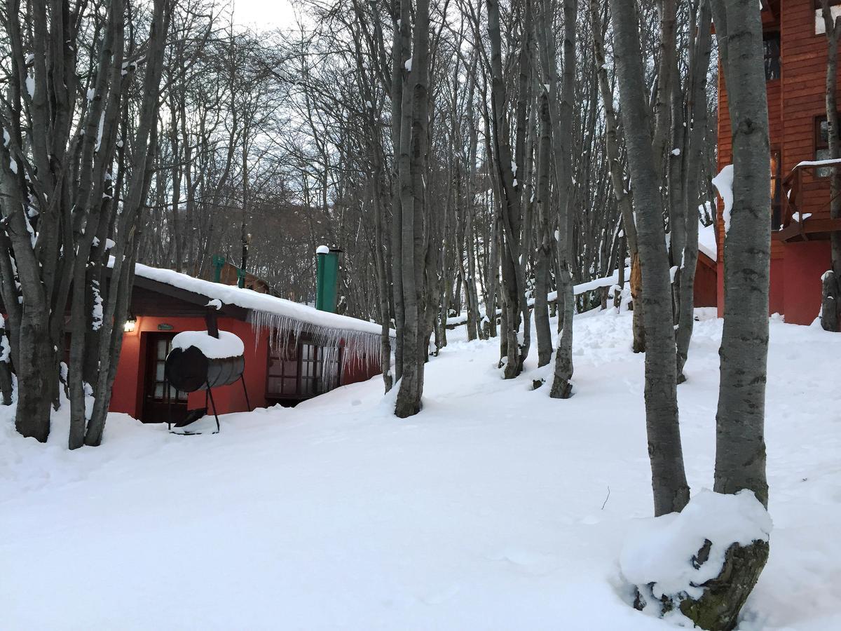 Bosque Del Faldeo Ushuaia