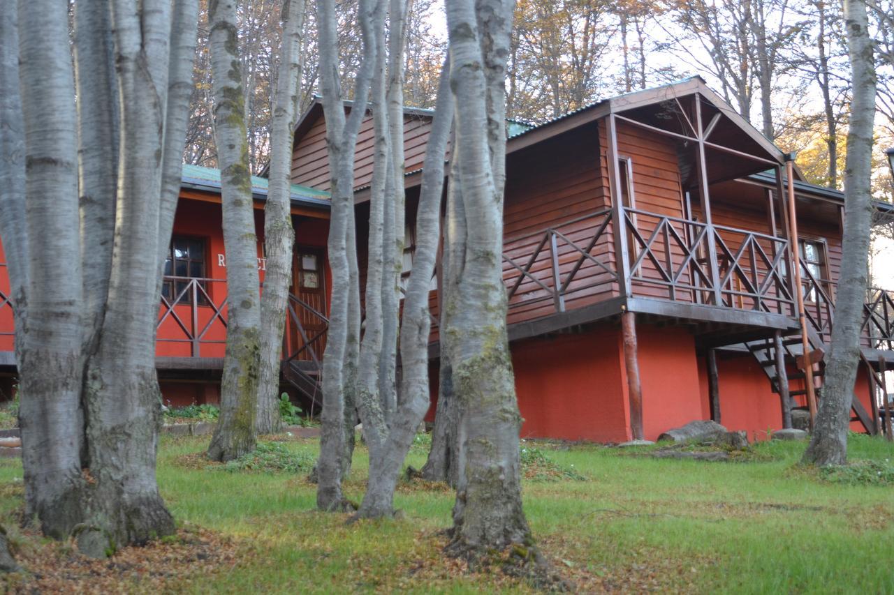 Bosque Del Faldeo Ushuaia