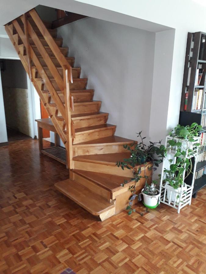 La Casa Del Mono *