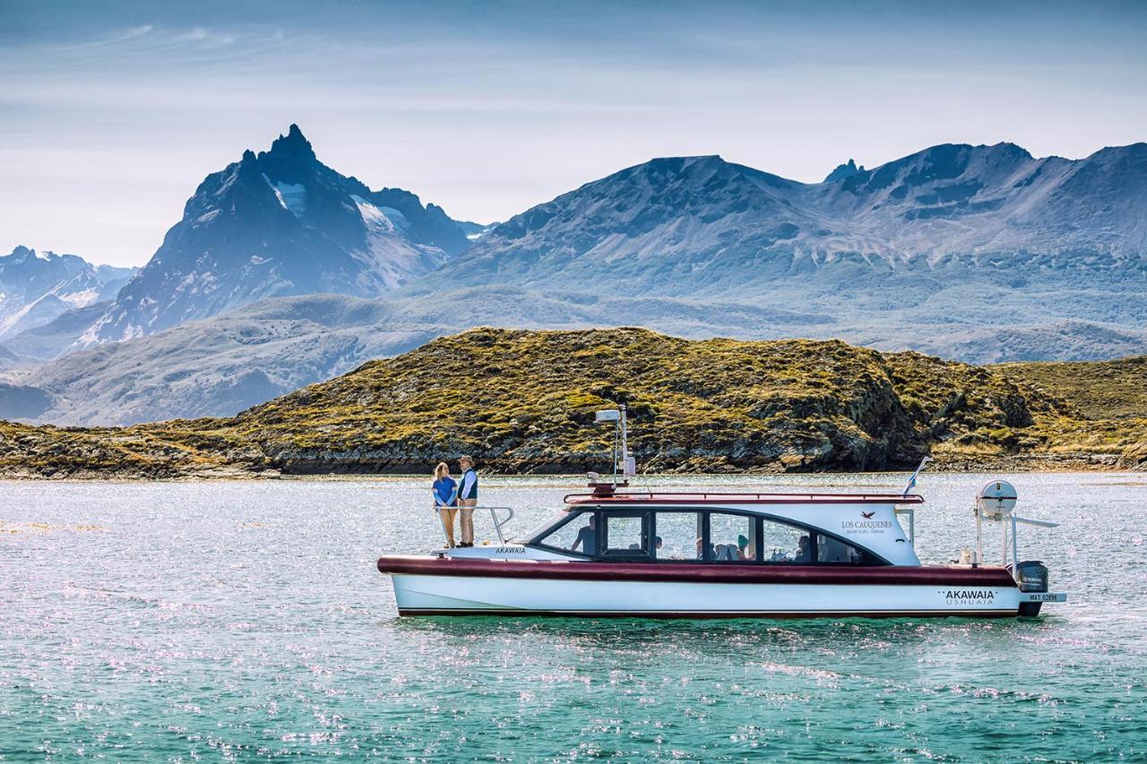 Cauquenes + + Experiences Ushuaia