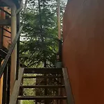 Vista A La Montana