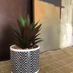 M&E Zona Primitiva