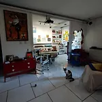 Casa Gorrion Escarlata