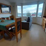 Berberis Ushuaia
