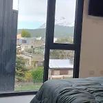 Beagle View 19