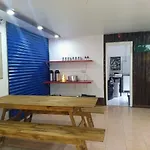 5 Hermanos