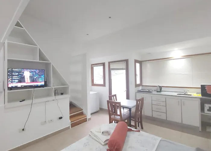 Magic Beagle Departamento Completo Centrico Calido Wifi