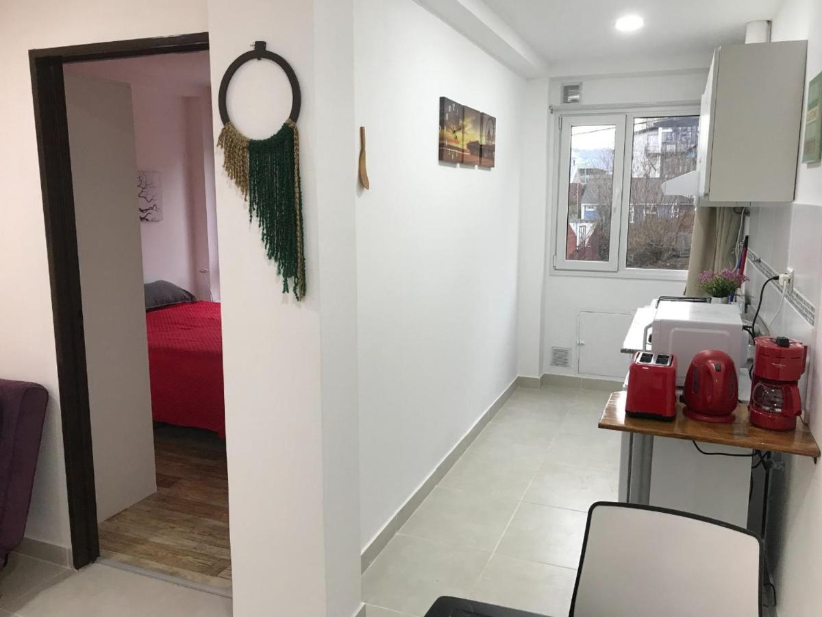 Apartamento Lo De Moli 1c