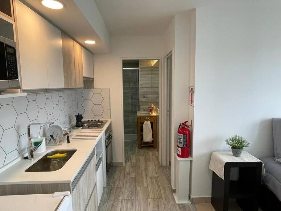 Brisas Del Olivia Apartamento