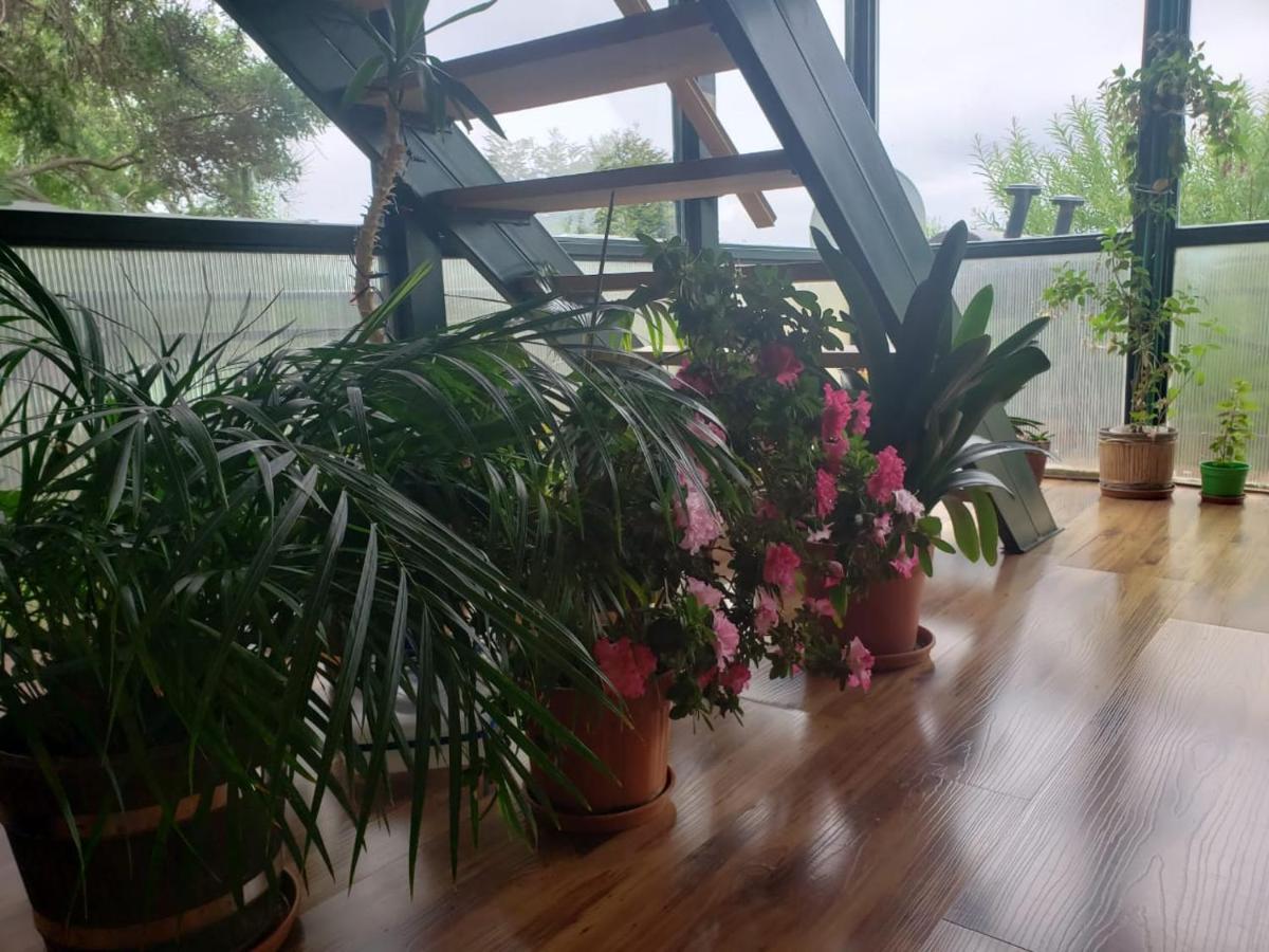 Bed and breakfast Tango 3*