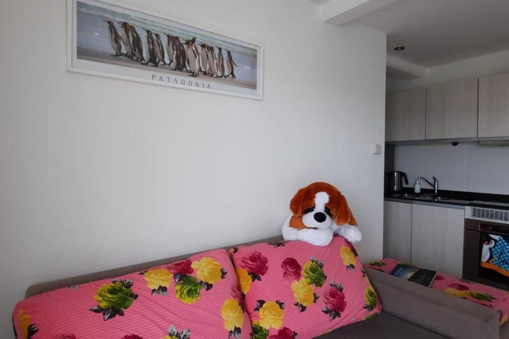 Los Canelos Departamento Fin Del Mundo Apartamento