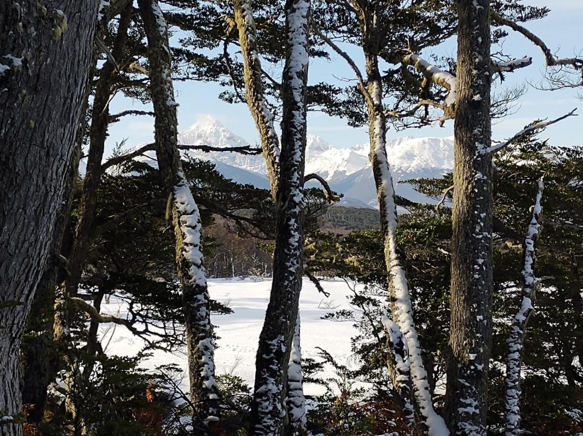 Comarca Fueguina * Ushuaia