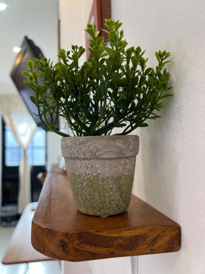 Tiny Apartamento *