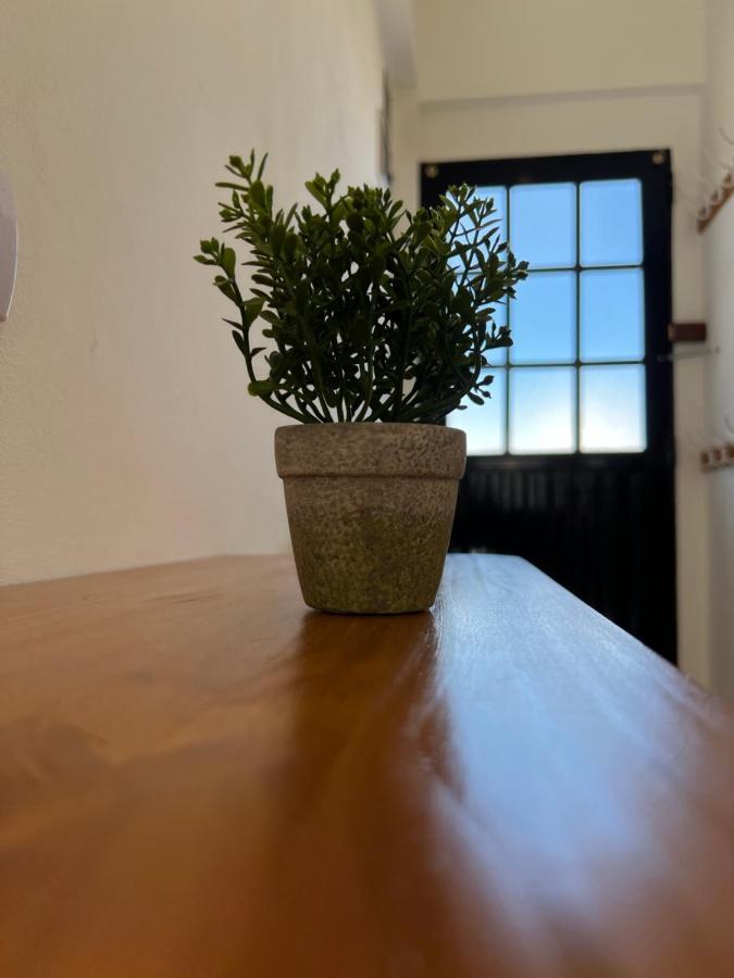 Tiny Apartamento *
