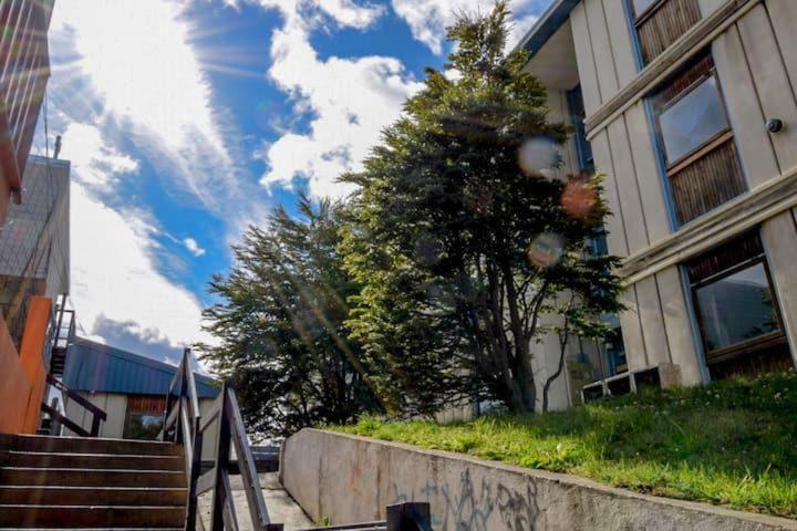 Bosco Apartamento