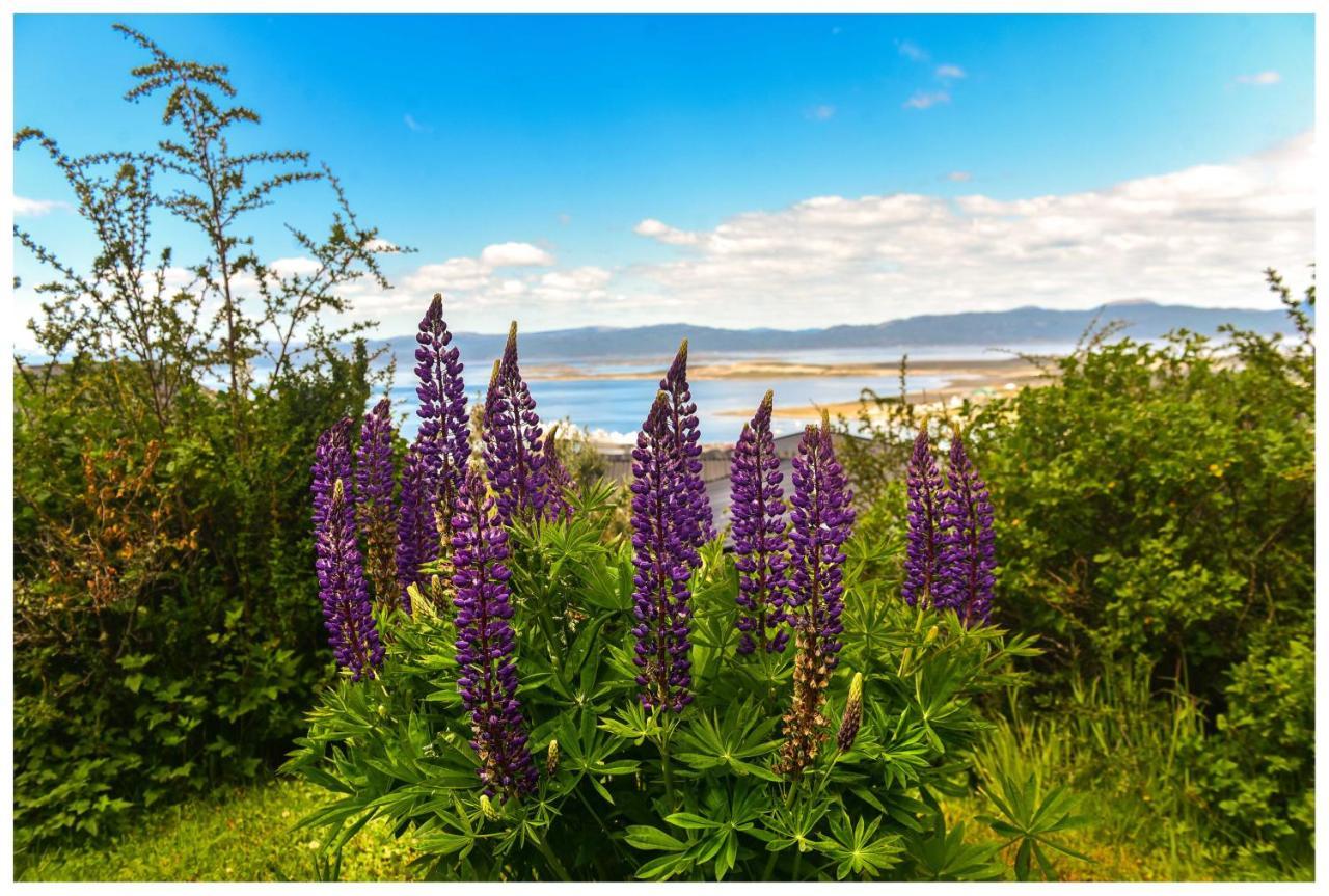 Akarsur * Ushuaia