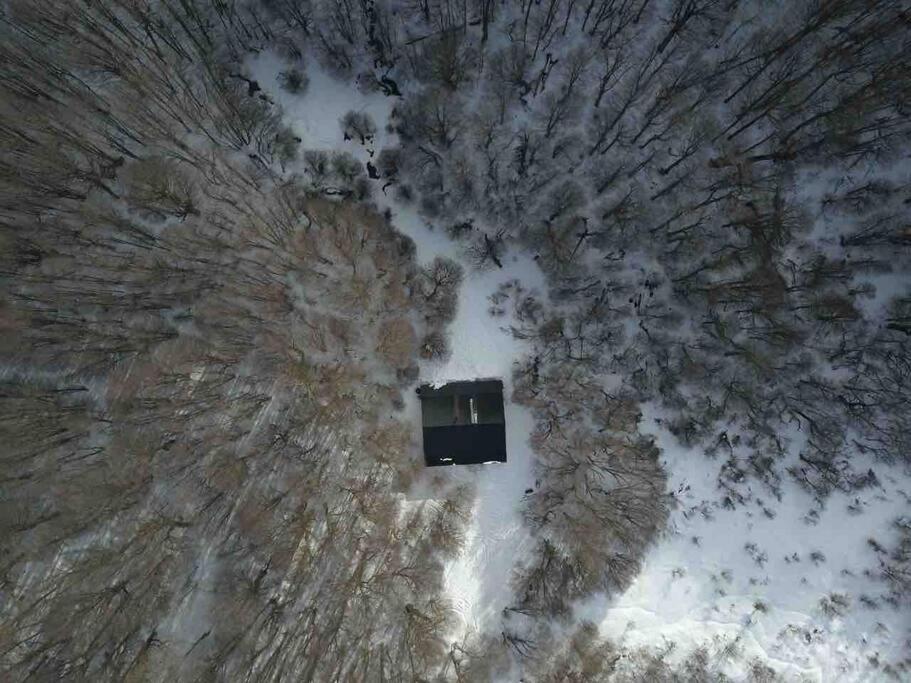 En El Bosque De Llanos Del Castor Сasa de vacaciones *