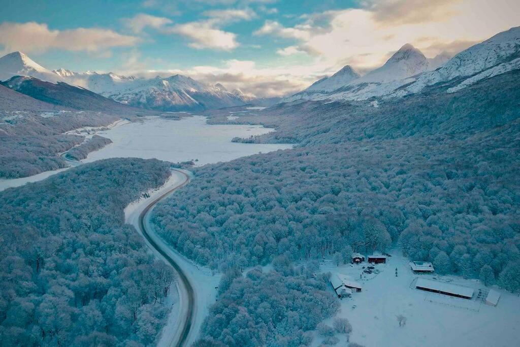 En El Bosque De Llanos Del Castor * Ushuaia