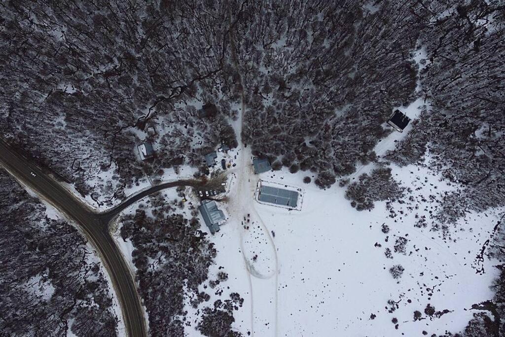 En El Bosque De Llanos Del Castor Ushuaia