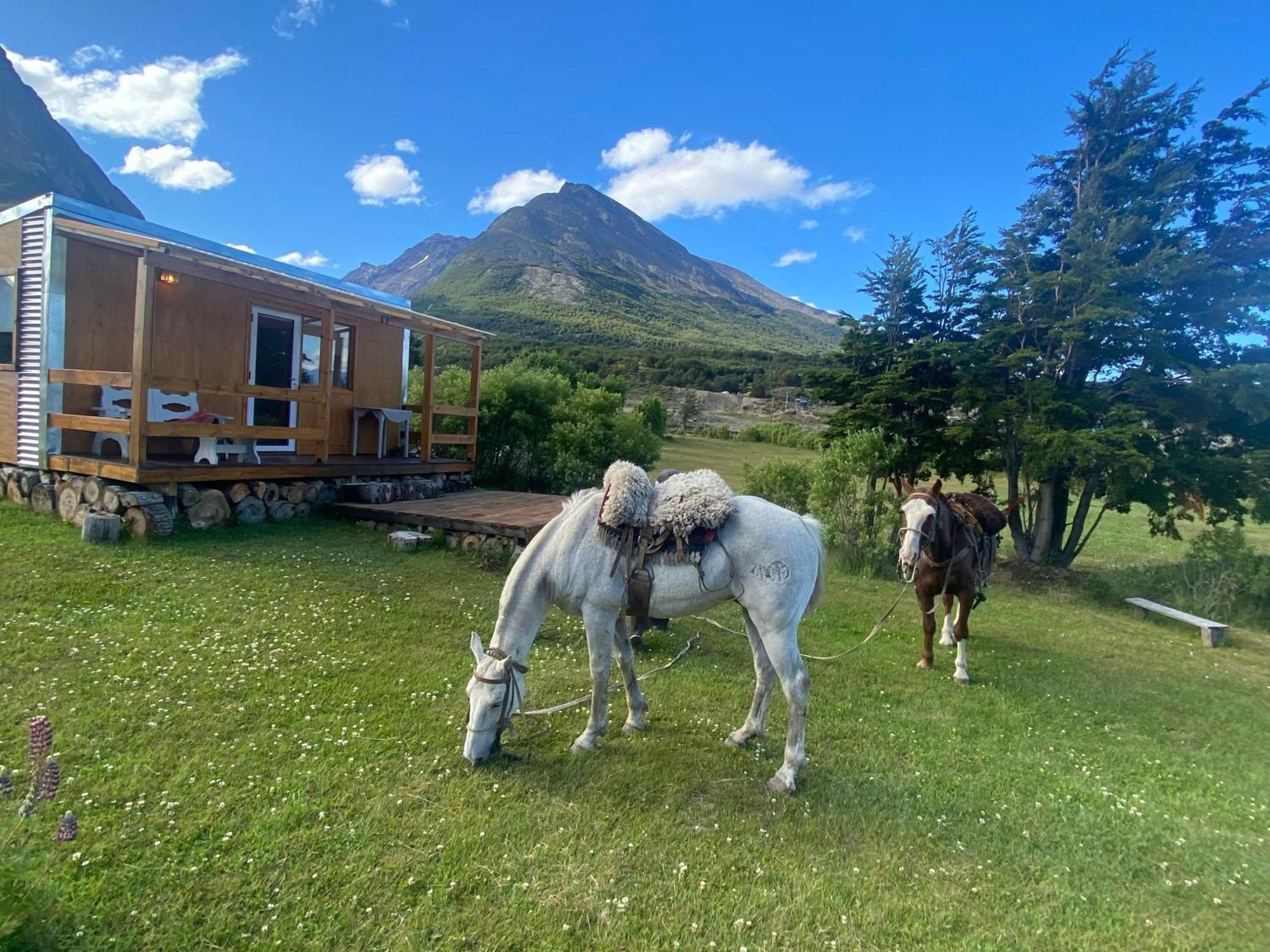 Camping La Del Campo *