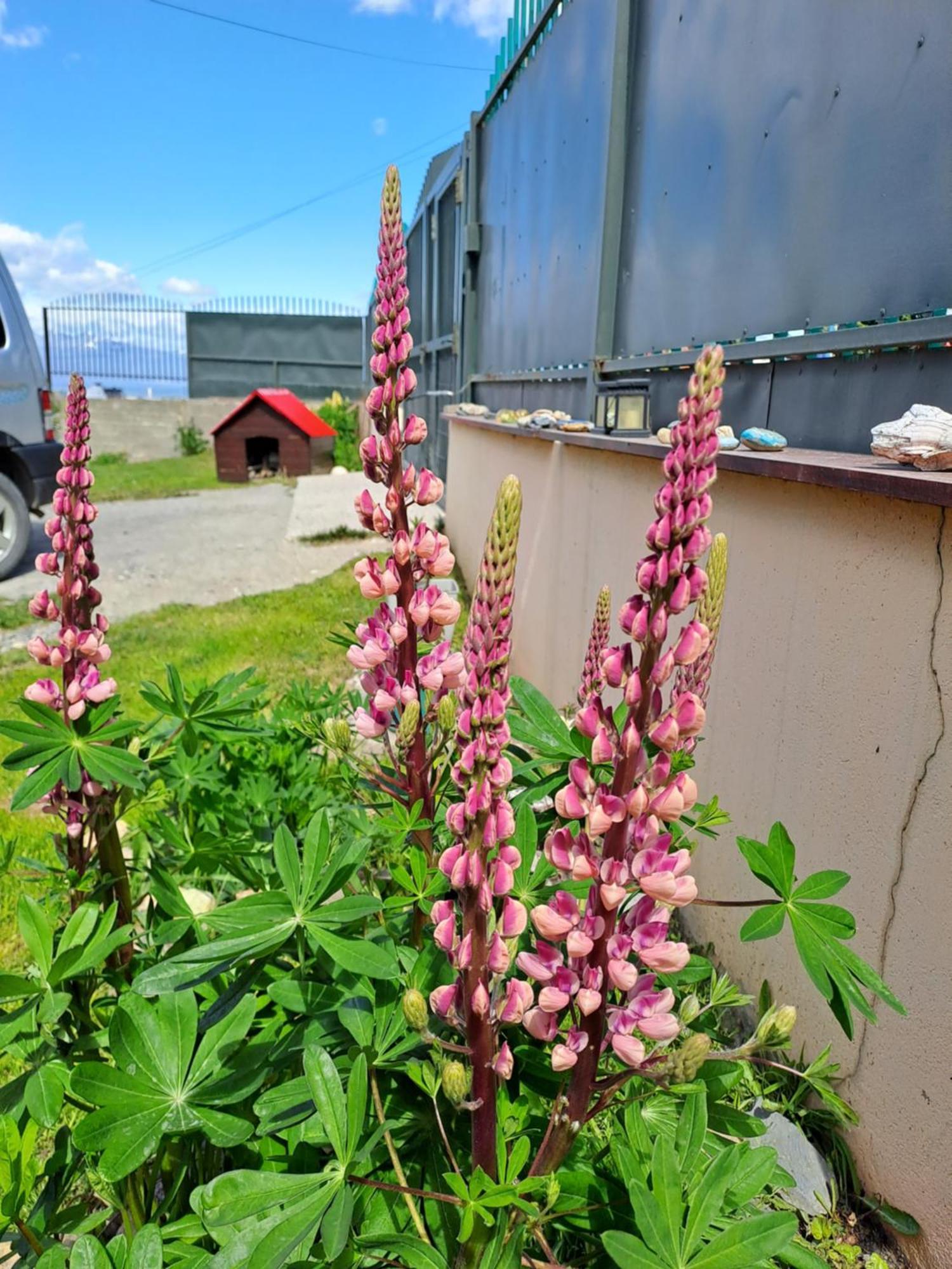 Pensión Alem Casa De Familia Ushuaia