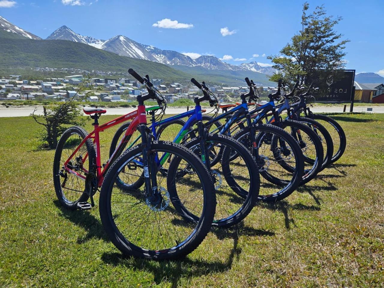 ñires Ushuaia