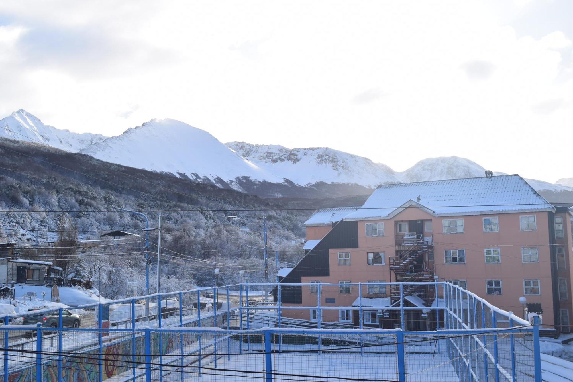Condor Andino Ushuaia