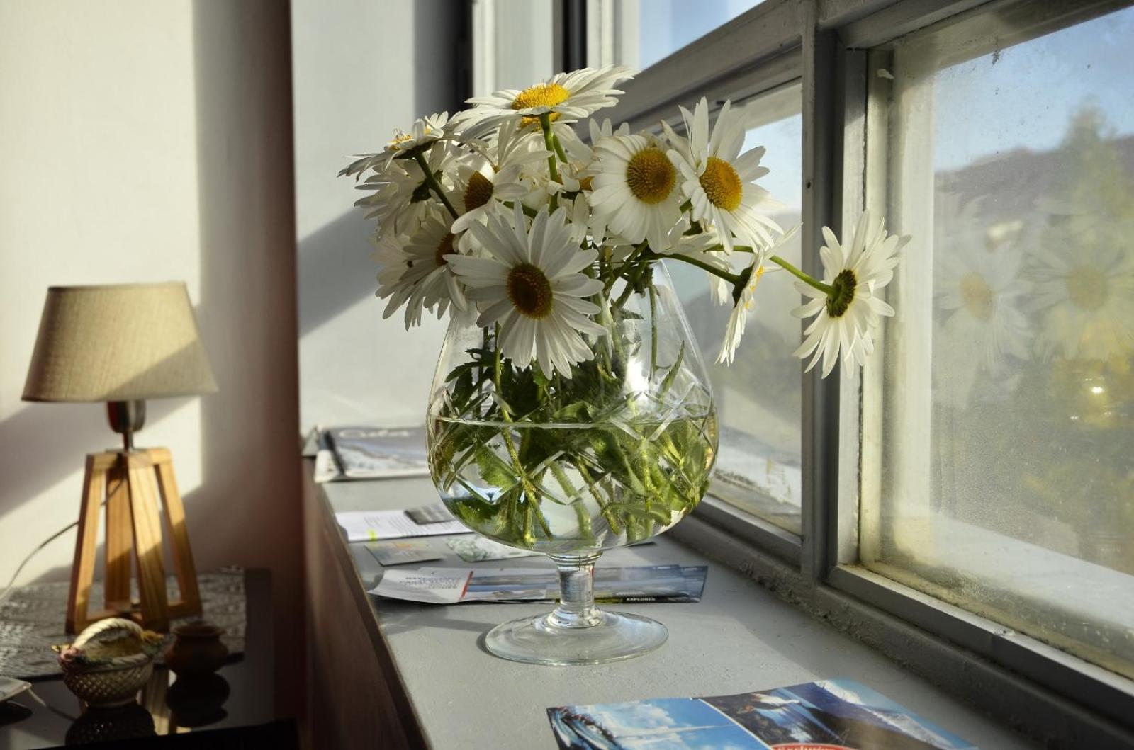 Horizonte Apartamento *