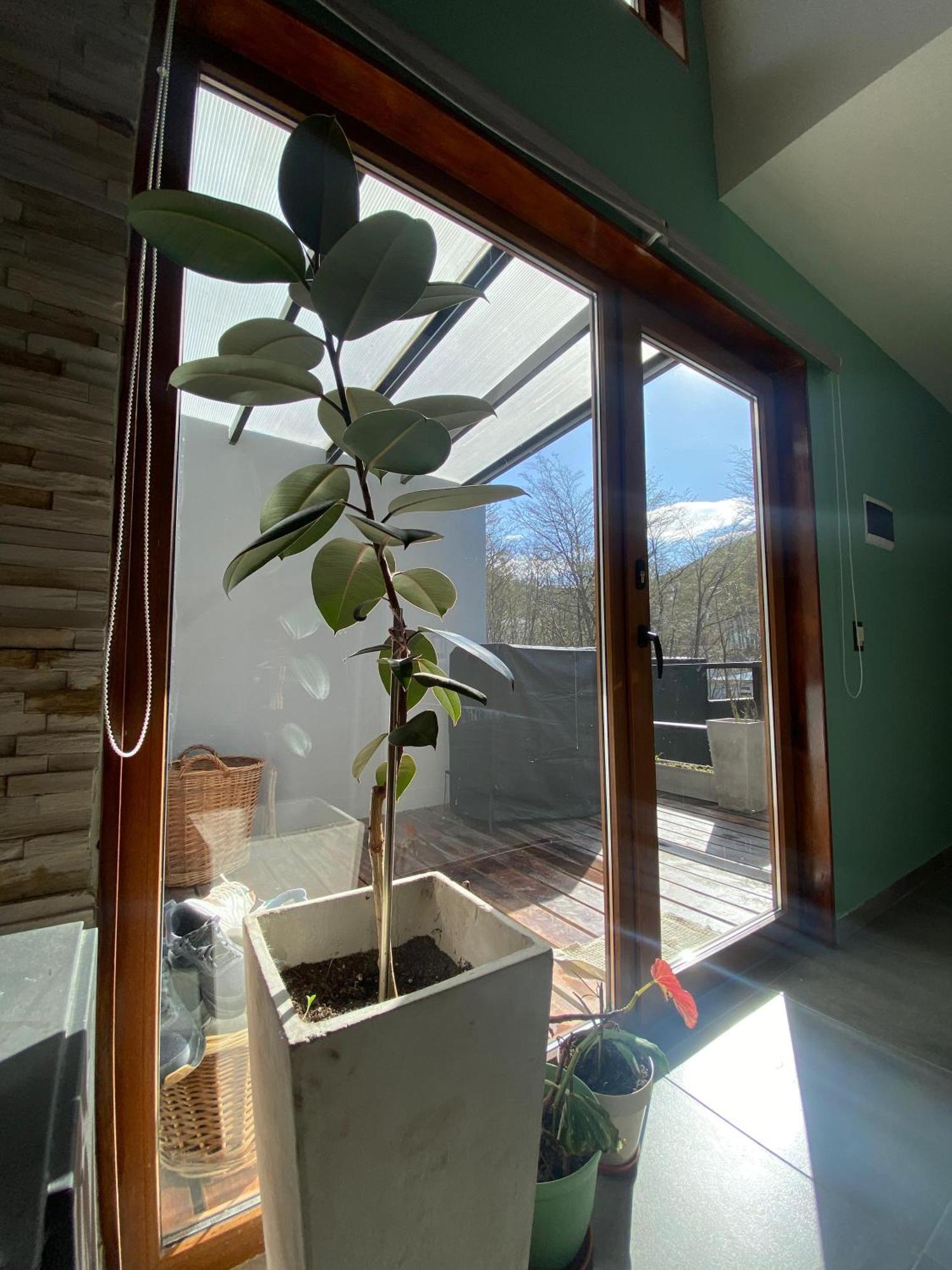 Bosques De Nires Chalet Ushuaia