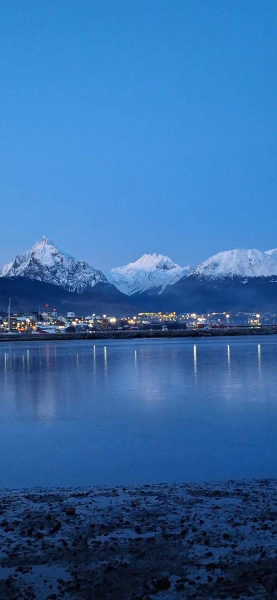 Condor Andino Ushuaia