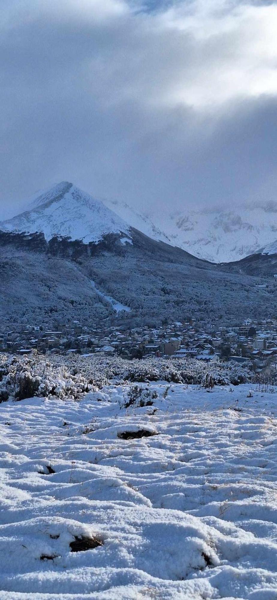 Condor Andino * Ushuaia