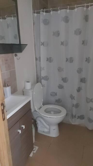 Departamento Planta Baja Apartamento Ushuaia