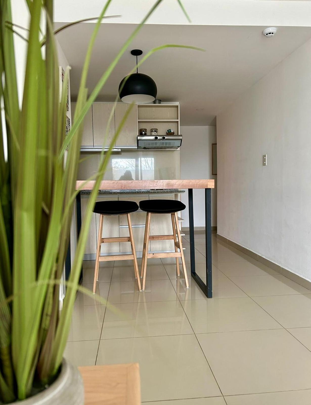Penguins Flats 5 *