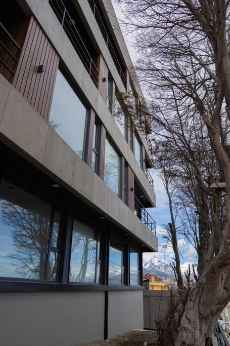 Campos 415