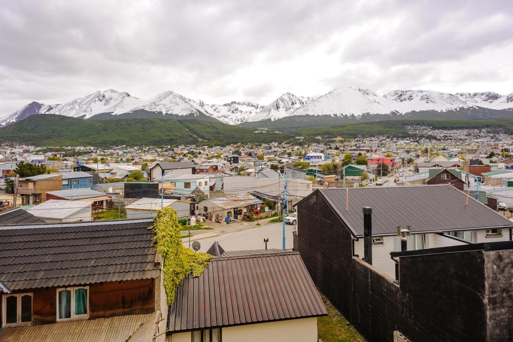 Gray Fox Hy Ushuaia